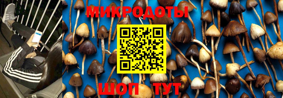 Галлюциногенные грибы мухоморы  Вход с VPN  Крымск 